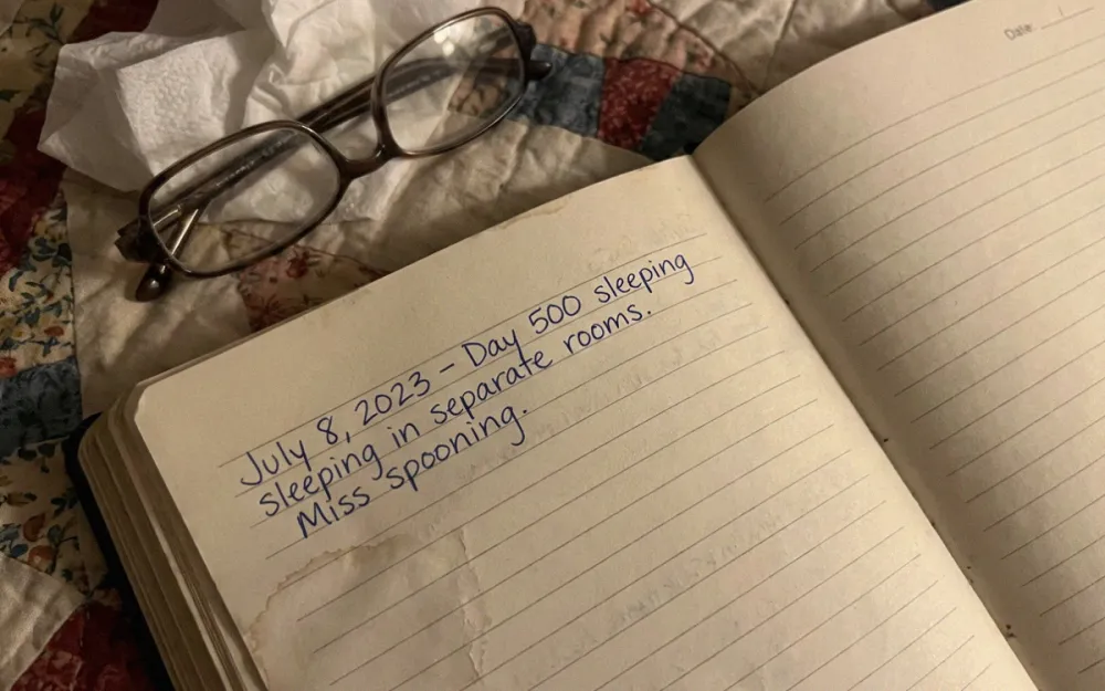Mom's diary entries